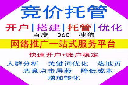 竞价广告案例分享：XX电商平台的成功秘诀
